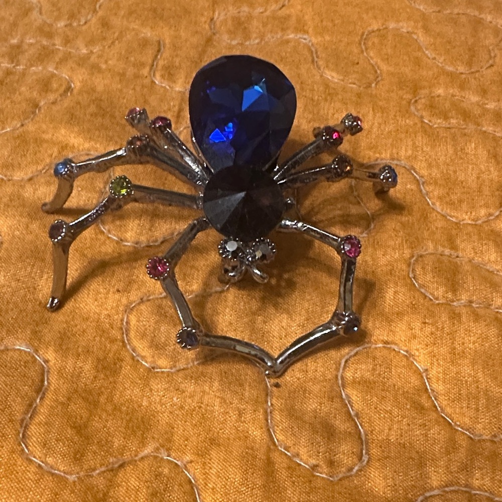 Elegant Blue and Silver Spider